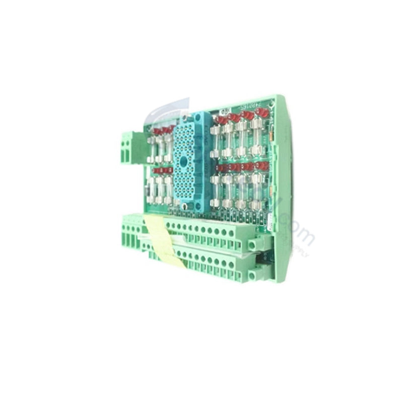 7400165-380 Triconex 9563-810NJ Terminal Panel Module