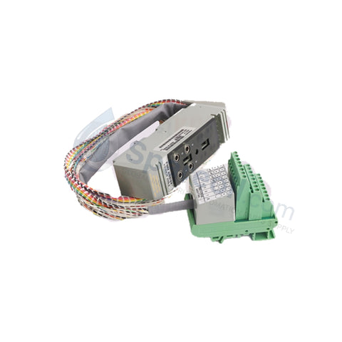 P0500RG Foxboro Termination Cable Assembly | New & Original Stock